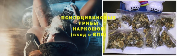 spice Алексин