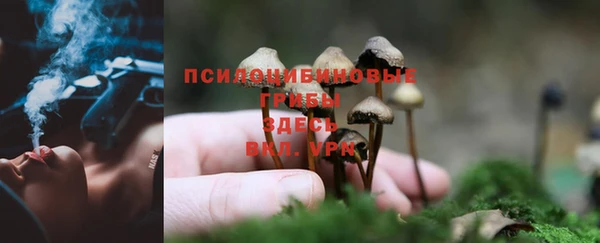 кокаин перу Алзамай