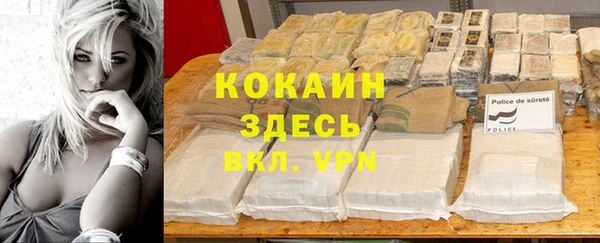 spice Алексин