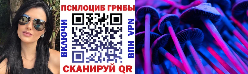 MEGA сайт Звенигово Галлюциногенные грибы прущие грибы
