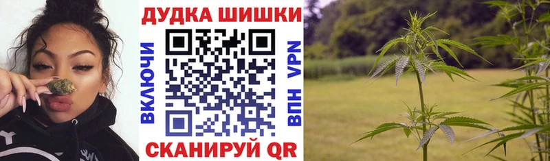 Бошки Шишки ГИДРОПОН  закладки  Звенигово 